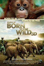 Born To Be Wild (2011) afişi Born To Be Wild (2011) afişi