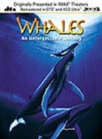 Whales: An Unforgettable Journey (1997) afişi Whales: An Unforgettable Journey (1997) afişi